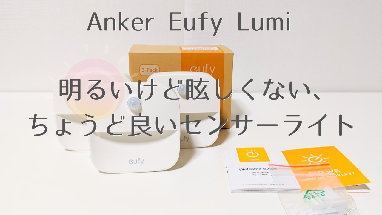 Anker_Eufy Lumi_EyeCatch
